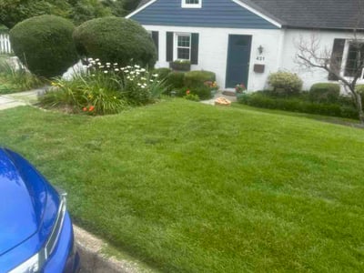 Lawn Care service in Towson, 21286
