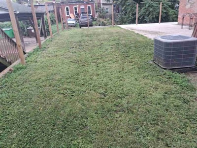 Lawn Care service in Springfield, 97477