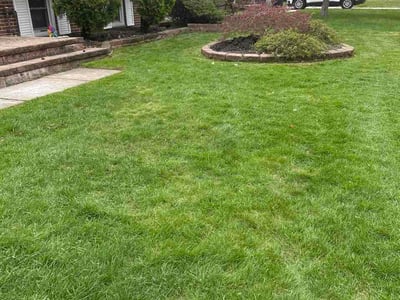 Lawn Care service in Flat Rock, 48134