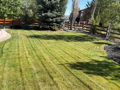 Lawn Care service in Monument, 80132