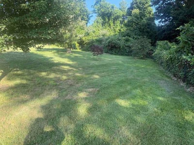 Lawn Care service in Farmington, 06032
