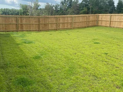 Lawn Care service in Gulf Shores, 36542