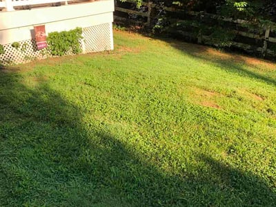 Lawn Care service in Perry Hall, 21128