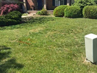 Lawn Care service in Belleville, 48111