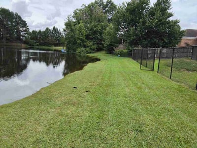 Lawn Care service in Columbus, 31901