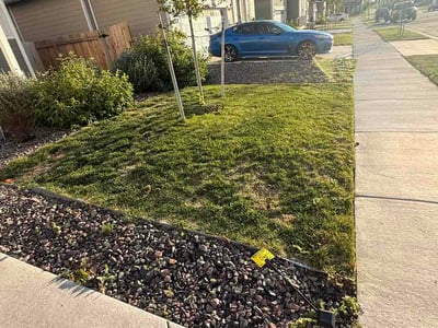 Lawn Care service in Commerce City, 80022