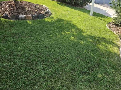 Lawn Care service in Parker, 80138