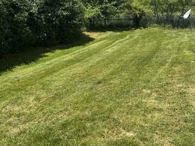 Lawn Care service in Glen Burnie, 21061