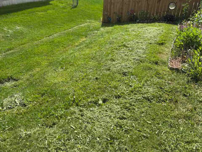 Lawn Care service in Newark, 43055