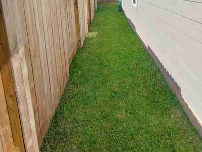 Lawn Care service in San Benito, 78586