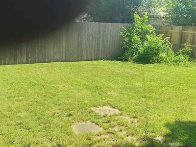 Lawn Care service in Lincoln Park, 48146