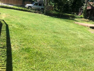 Lawn Care service in Gwynn Oak, 21207