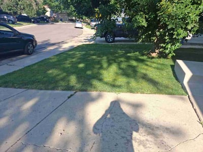 Lawn Care service in Castle Rock, 80104