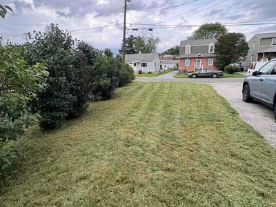 Lawn Care service in Rosedale, 21237