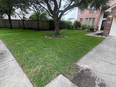 Lawn Care service in Brownsville, 78520