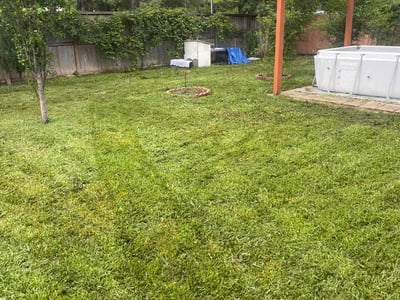 Lawn Care service in Brownsville, 78520