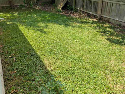 Lawn Care service in Cleveland, 44115