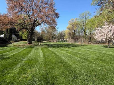 Lawn Care service in Montgomery Village, 20886