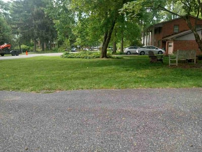 Lawn Care service in Columbia, 21044