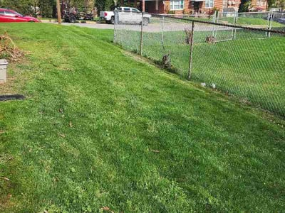 Lawn Care service in Columbia, 21044