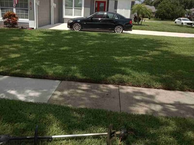 Lawn Care service in Port Orange, 32127