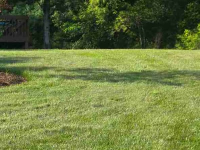 Lawn Care service in Endicott, 13760