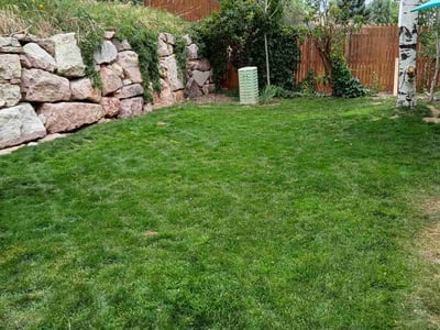 Lawn Care service in Brighton, 80601