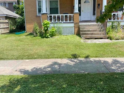Lawn Care service in Lakewood, 44107