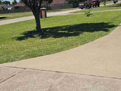 Lawn Care service in Terrell, 75160