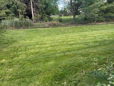 Lawn Care service in Beltsville, 20705