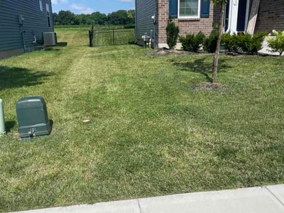 Lawn Care service in Beltsville, 20705