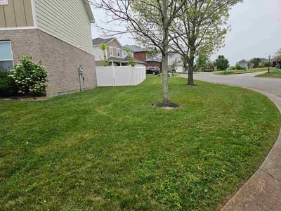 Lawn Care service in Atlantic City, 08401