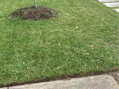 Lawn Care service in Rockport, 78382