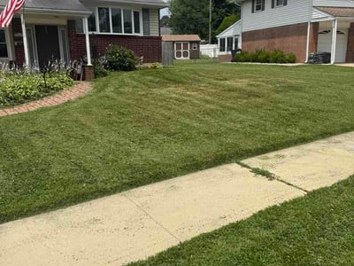 Lawn Care service in Wilmington, 19801
