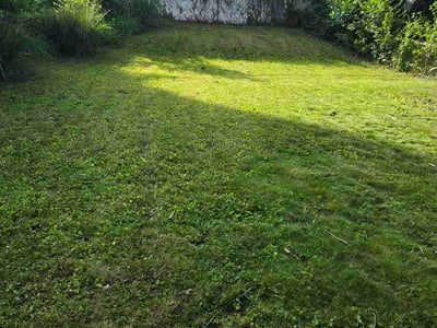 Lawn Care service in Old Orchard Beach, 04064