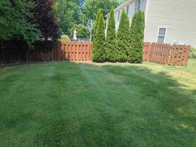 Lawn Care service in Willoughby, 44094