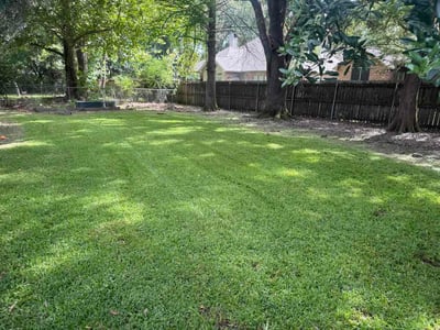 Lawn Care service in Carencro, 70520