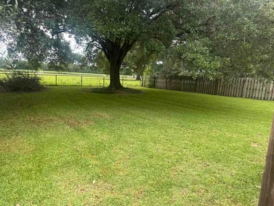 Lawn Care service in Carencro, 70520