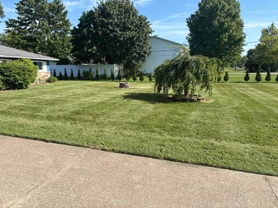 Lawn Care service in Painesville, 44077