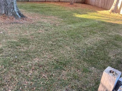 Lawn Care service in Fitchburg, 01420