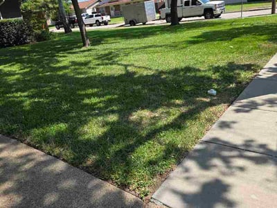 Lawn Care service in Mesquite, 75149
