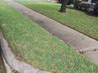 Lawn Care service in Aubrey, 76227
