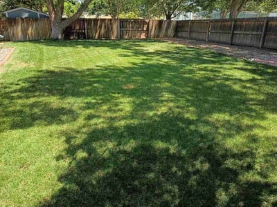 Lawn Care service in Aurora, 80011