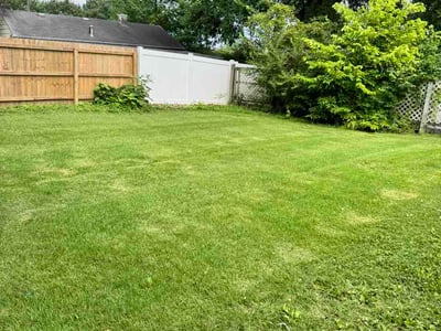 Lawn Care service in West Chester, 45069