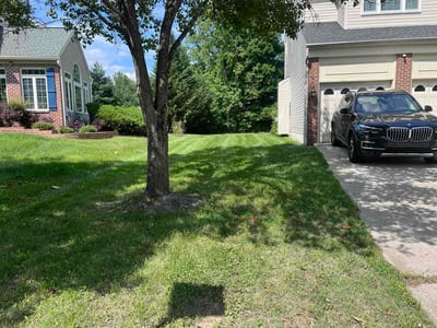 Lawn Care service in Upper Marlboro, 20772