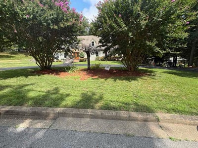 Lawn Care service in Upper Marlboro, 20772