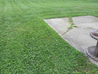 Lawn Care service in Mays Landing, 08330
