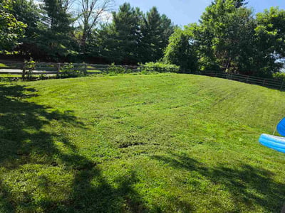 Lawn Care service in Burlington, 41005