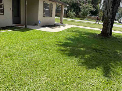 Lawn Care service in Orange City, 32763