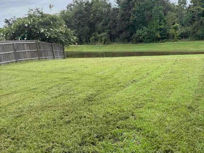 Lawn Care service in Prairieville, 70769